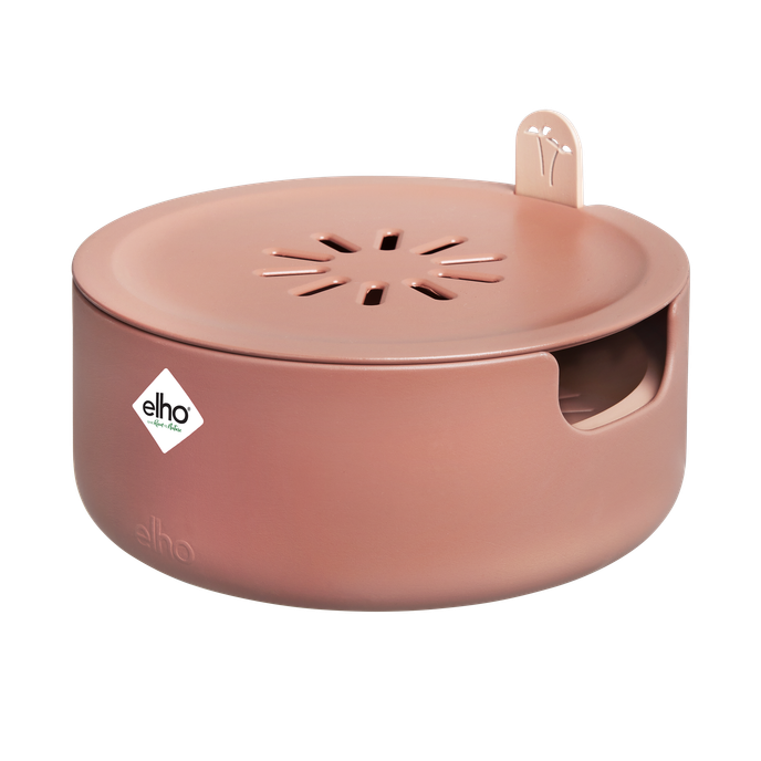 magic microgreens toffee terra